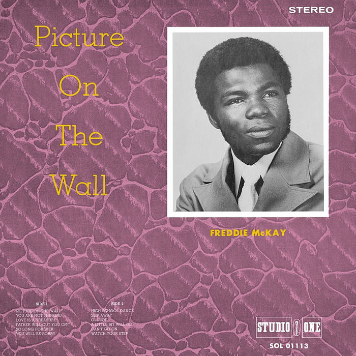 洋楽 Freddie McKay Picture On The Wall 2LP Picture on the Wall (Deluxe Edition) | Freddie McKay