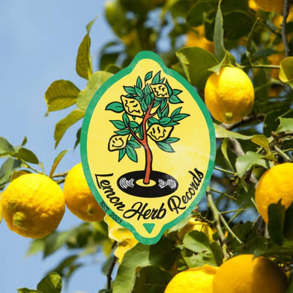 邦楽 Lemon Lemon - YouTube