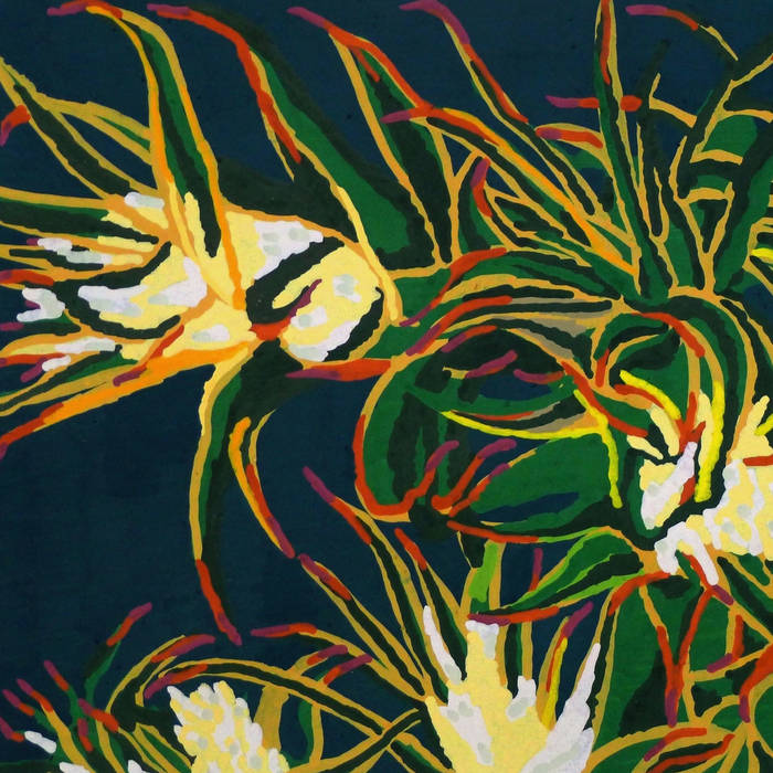 Angophora – Scenes Angophora - Scenes | Angophora | Ken Oath Records