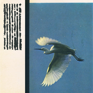 No Night Is Long Enough To Dream TwiceAidan Baker, Saåad & Frederic D.Oberland cover