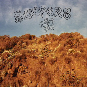 Sleepers cover