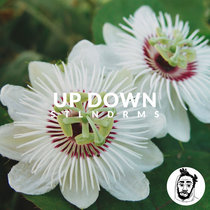 Up down cover art