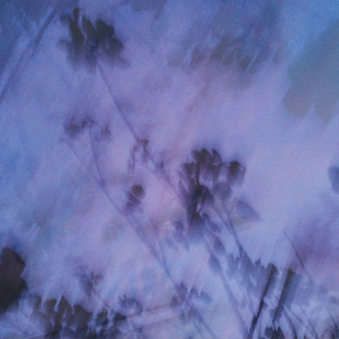 Music | Lost in the Fog