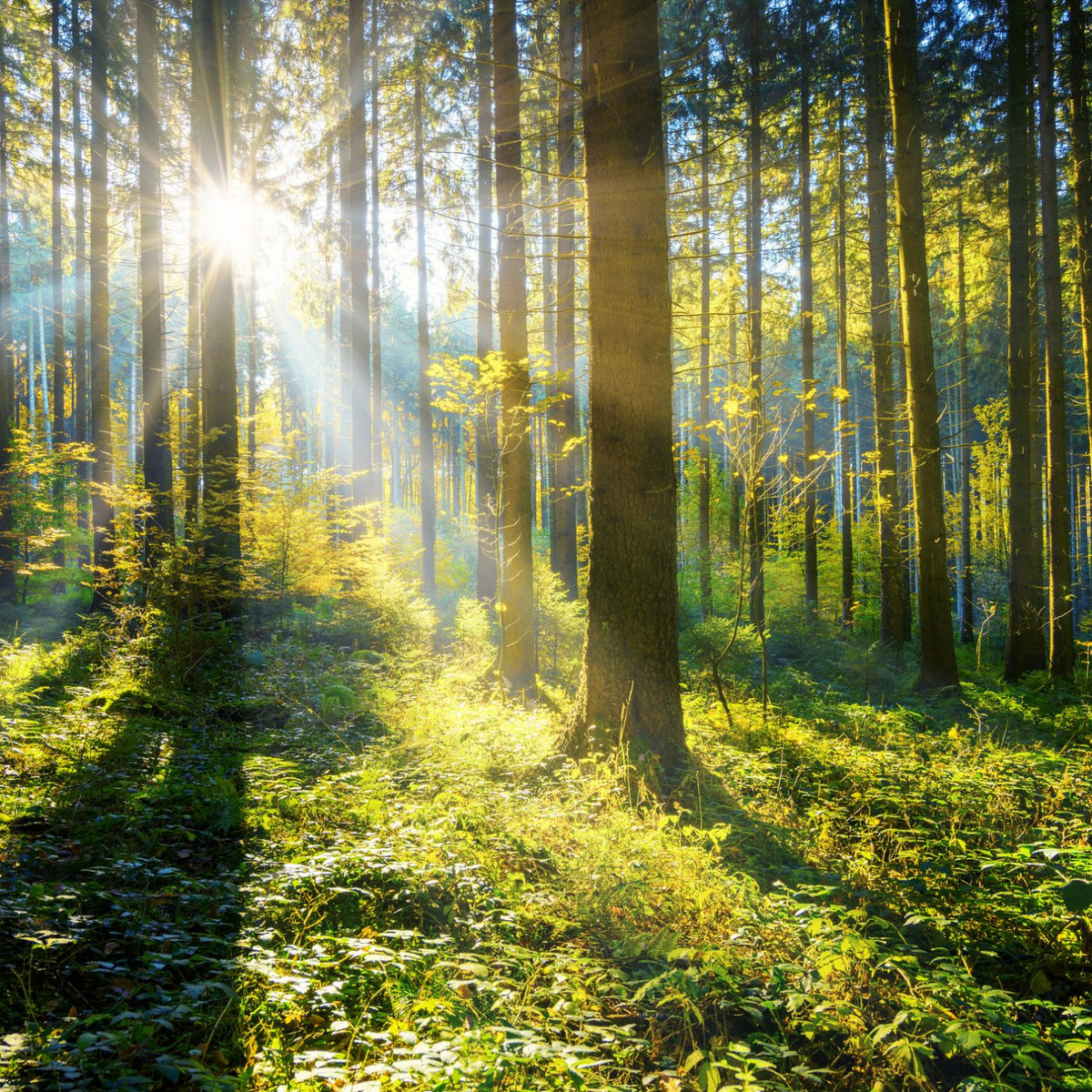 Feel Good Bizarre Inc Playing With Knives Edit Cynkt