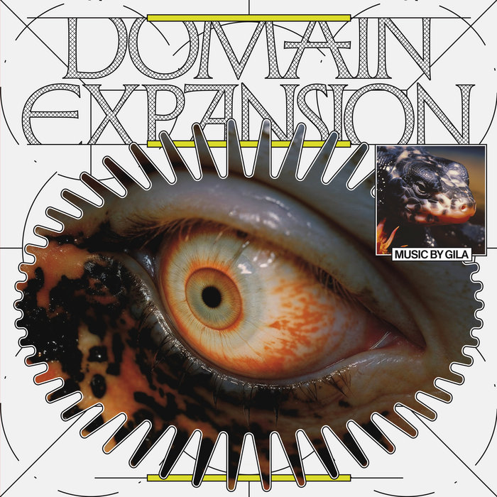 what's the meaning of domain expansion