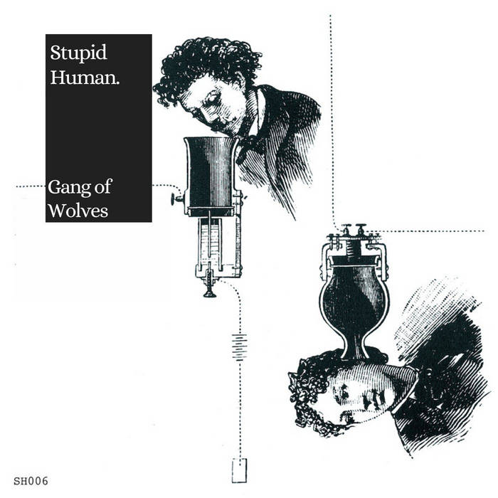 Gang Of Wolves
by Stupid Human