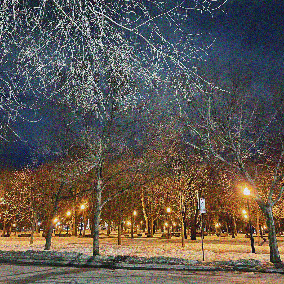 an orange-and-blue image of a park in Montreal at night eerily lit by street lamps