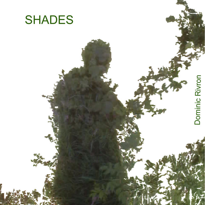 SHADES | Dominic Rivron