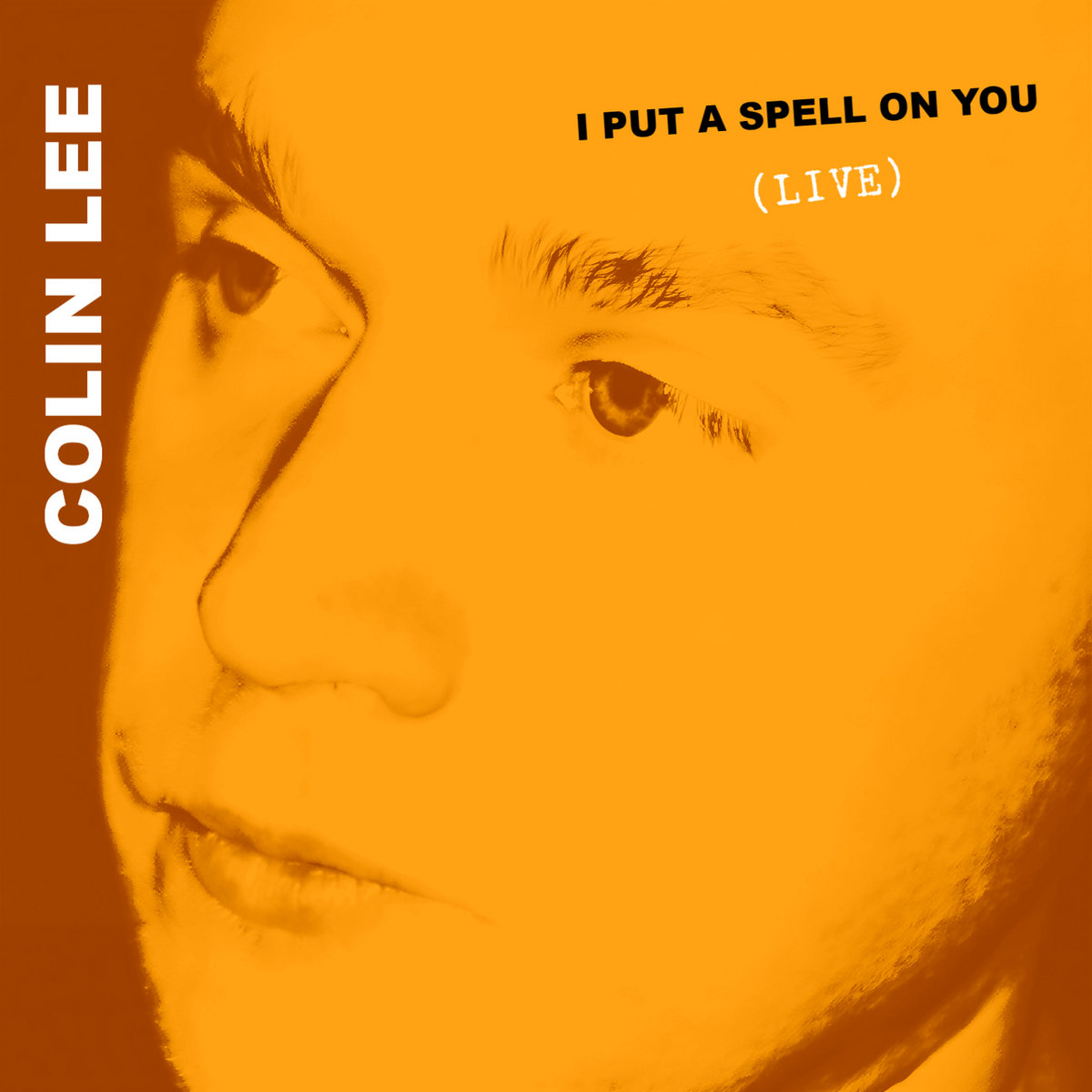 I Put A Spell On You (Live) (Single) *(FREE DOWNLOAD) cover