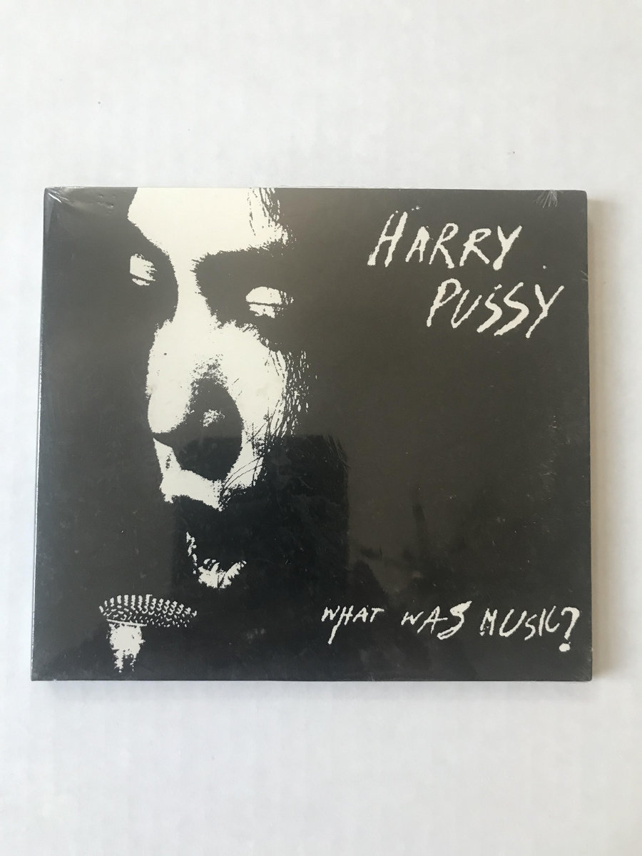 Harry Pussy-What Was Music? cd | Siltbreeze Records