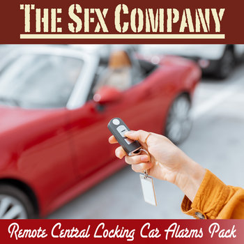 Remote Central Locking Car Alarms Pack | The SFX Company