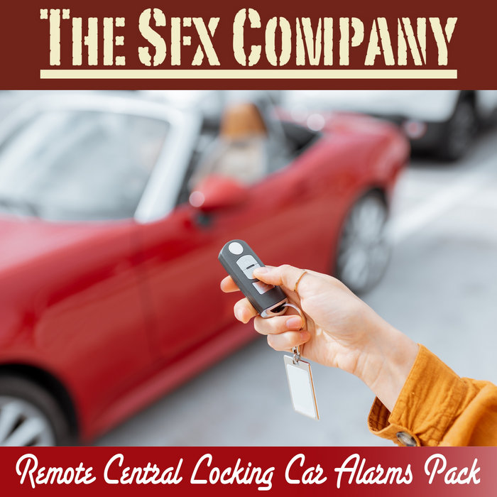 Remote Central Locking Car Alarms Pack The SFX Company