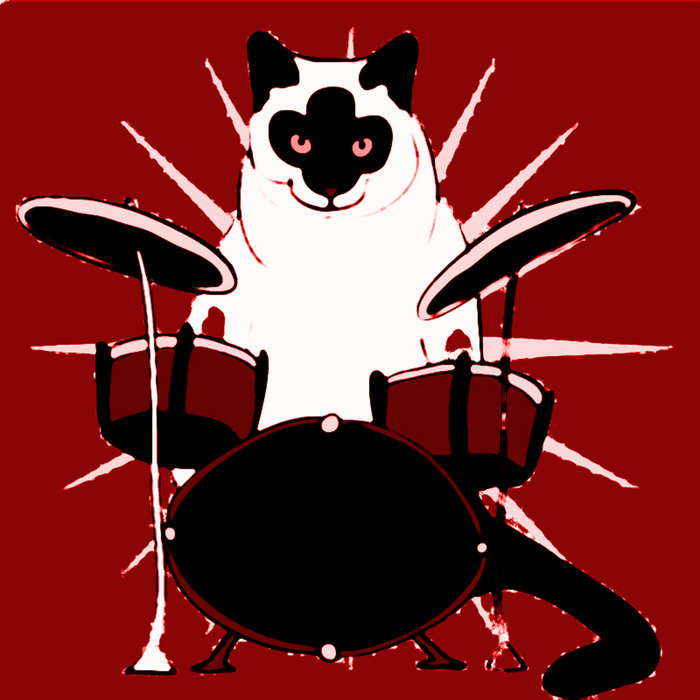 DRUM CATS Jeroen Elfferich