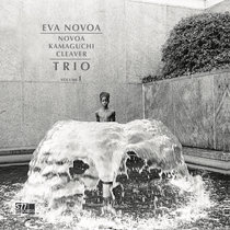 Novoa / Kamaguchi / Cleaver Trio - Vol. 1 cover art