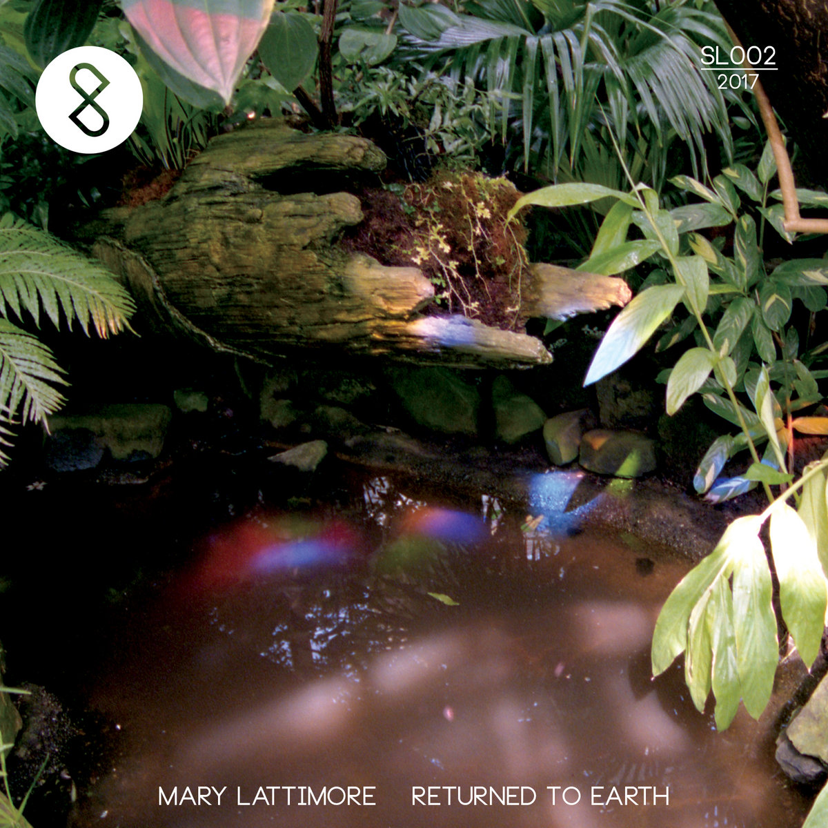 returned to earth mary