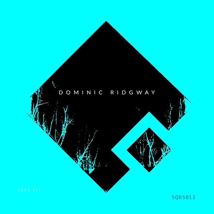 Dominic Ridgway - Realities Dub/My Mind | Dominic Ridgway | Squares Music