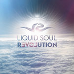 LIQUID SOUL - Revolution (Iboga Records)