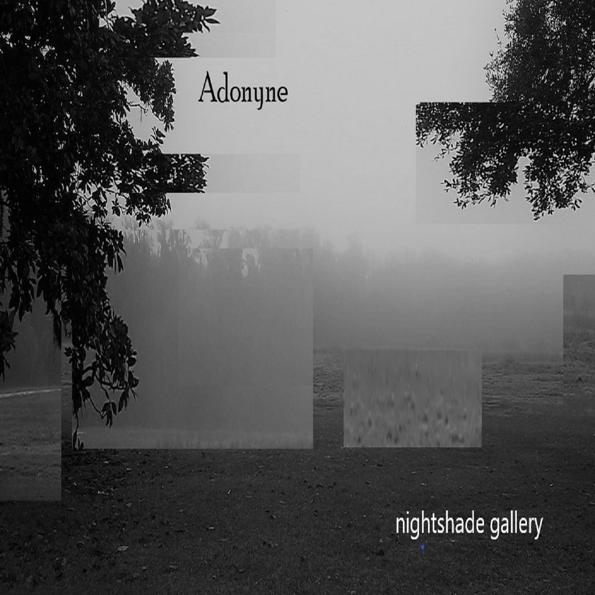 Adonyne Nightshade Gallery adonyne-nightshade-gallery