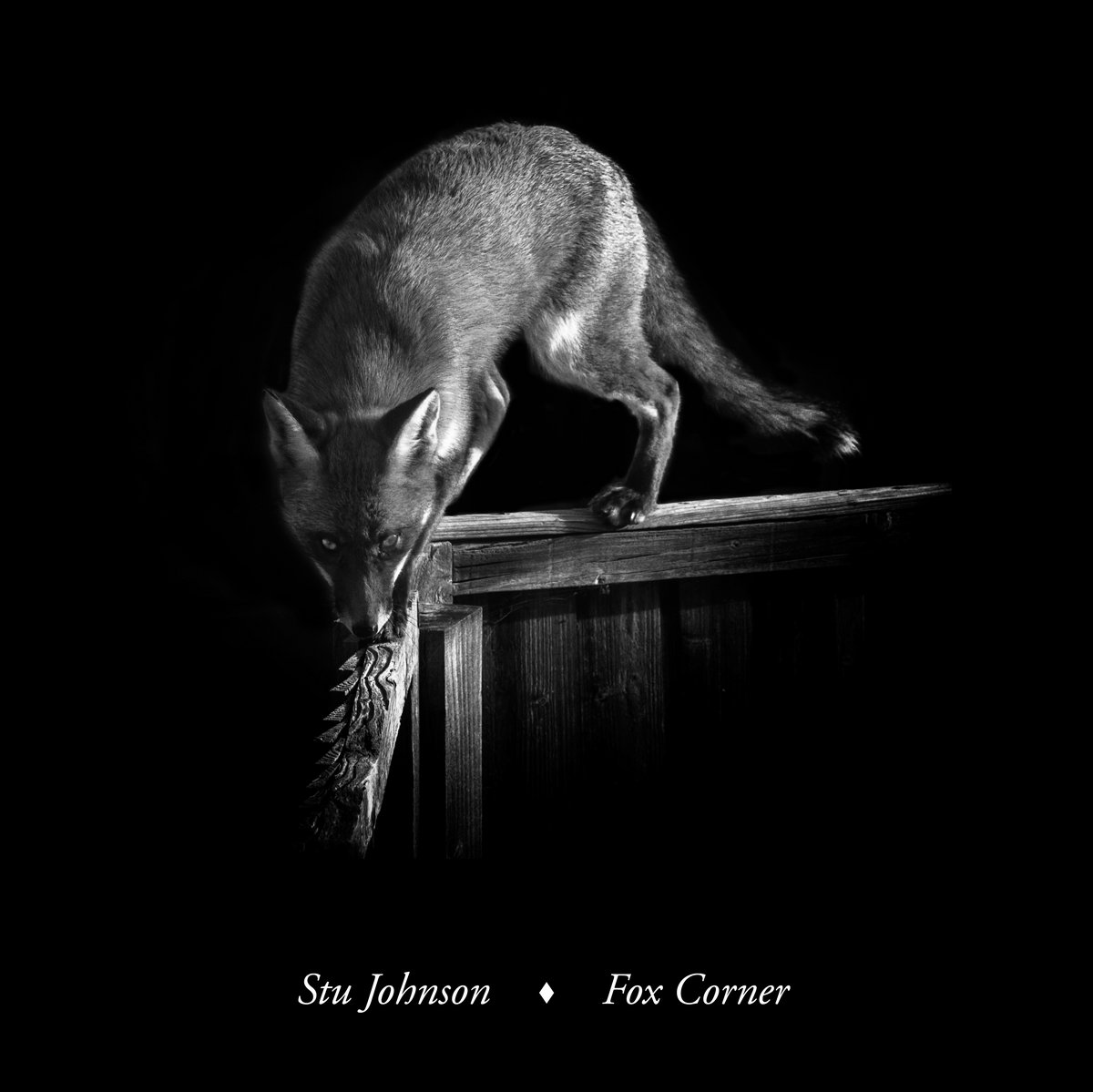 Fox Corner | Stu Johnson