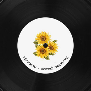 Tiffany - Dormi departe cover