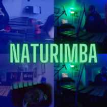 Naturimba (feat. Rob van der Made) cover art