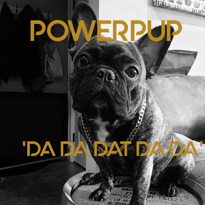 His Dog Trappy Chainz Dog Chainz Bulldog Trappy Chainz Dog Breed 2025