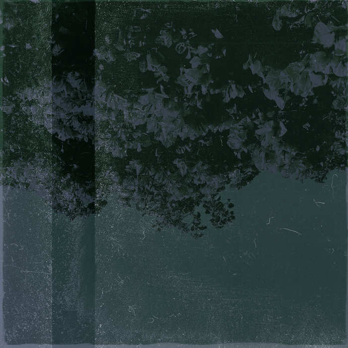 Tree Rows Hypnotic I've Been Learning Hypnosis | albinobeach