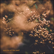 Spectre of the Past ep cover art