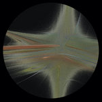 Measure of Nothing LP
