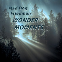 Wonder Moments cover art
