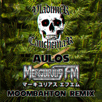 Aulos (Mercurius FM Remix) cover art
