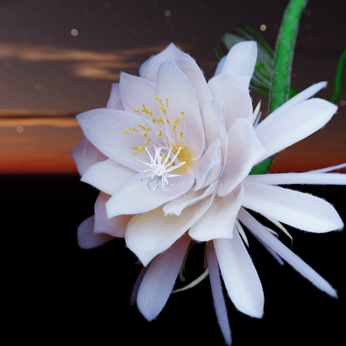 Queen of the Night | Edgy Palates