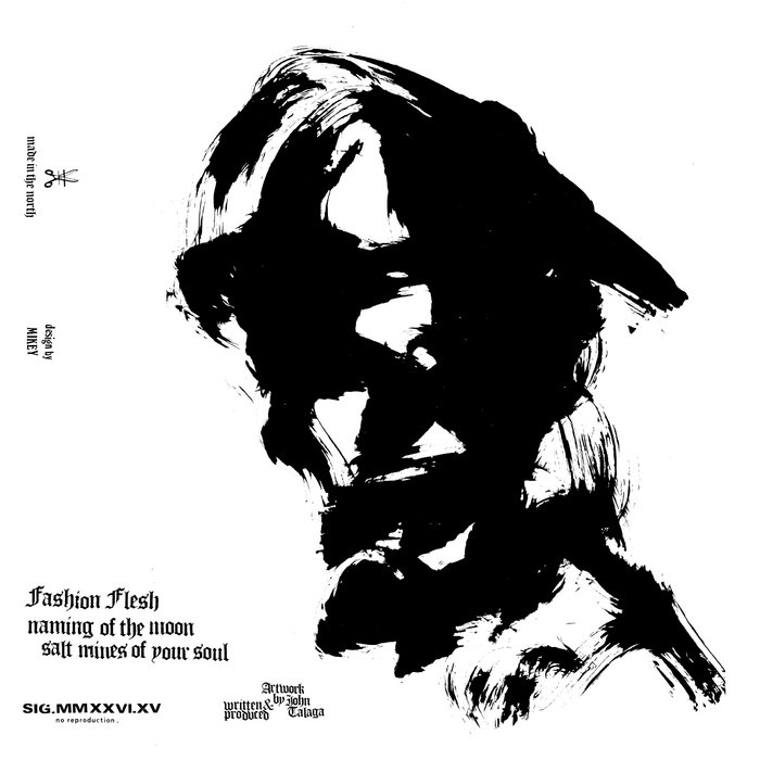 Pochette de Fashion Flesh - Naming of the moon par Signals