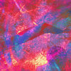 Merzbow/Forget