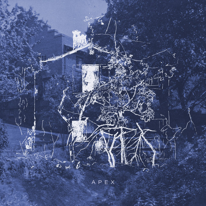 Pochette de Apex par Pieter Savenberg