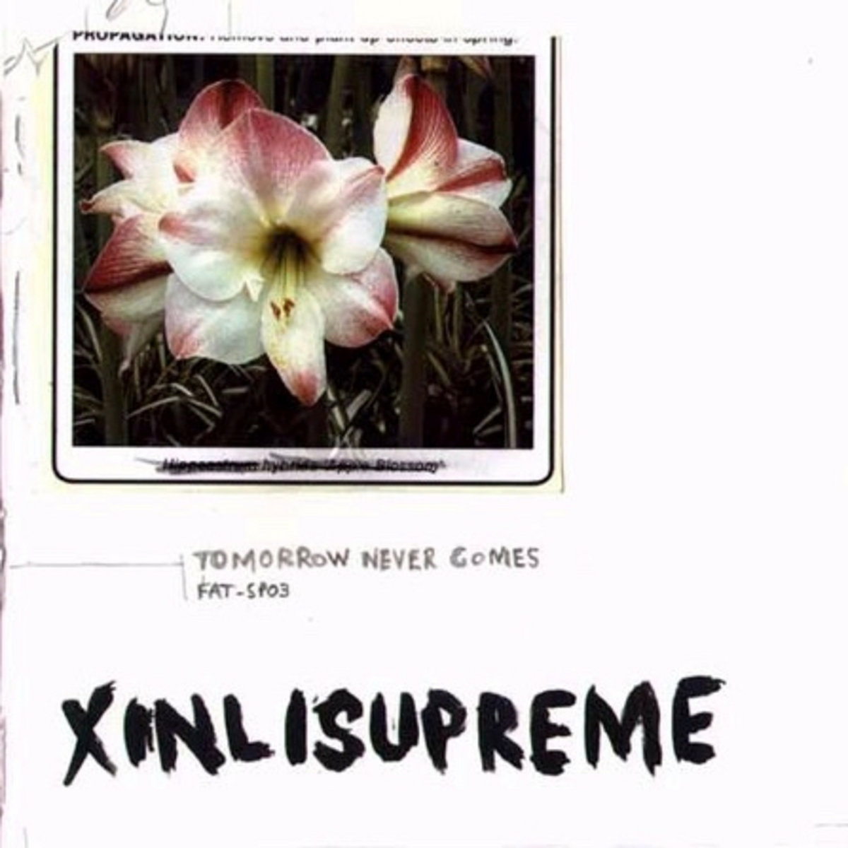 Tomorrow Never Comes | Xinlisupreme