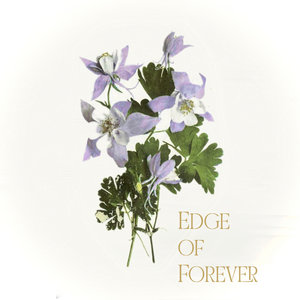 Edge of Forever cover