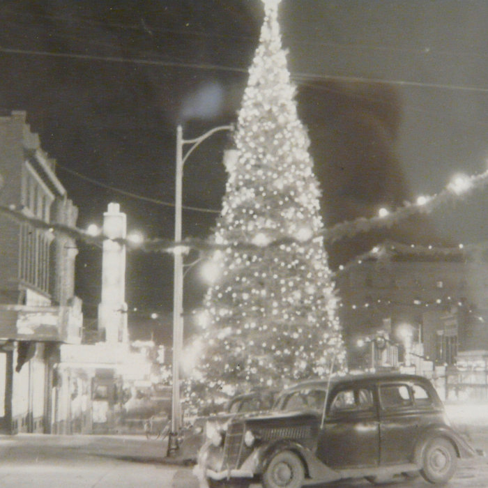 Cut Your Own Christmas Tree Texas Grawedne flaternipysli