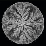 Emergence Remixed