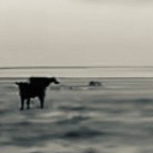 #083.5. Broken Record Lament cover