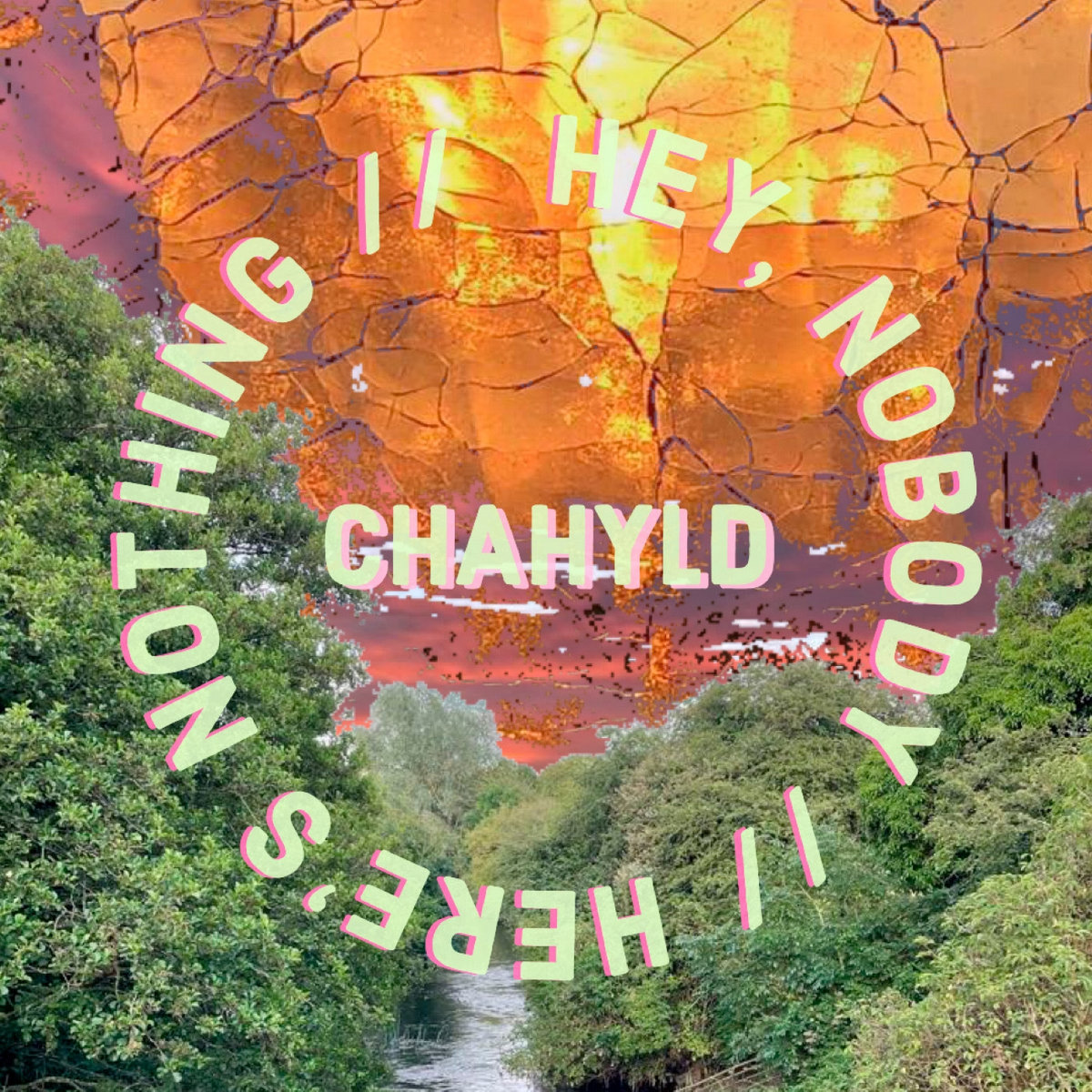 Hey, nobody // Heres nothing + My Dads Wild Garden cover
