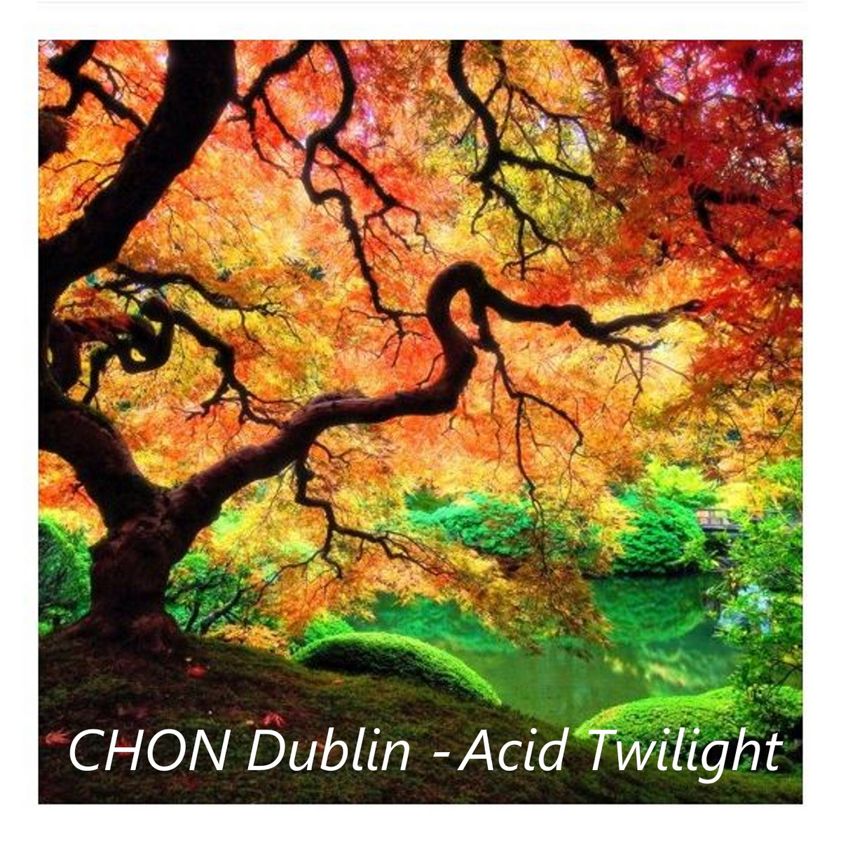 Acid Twilight cover