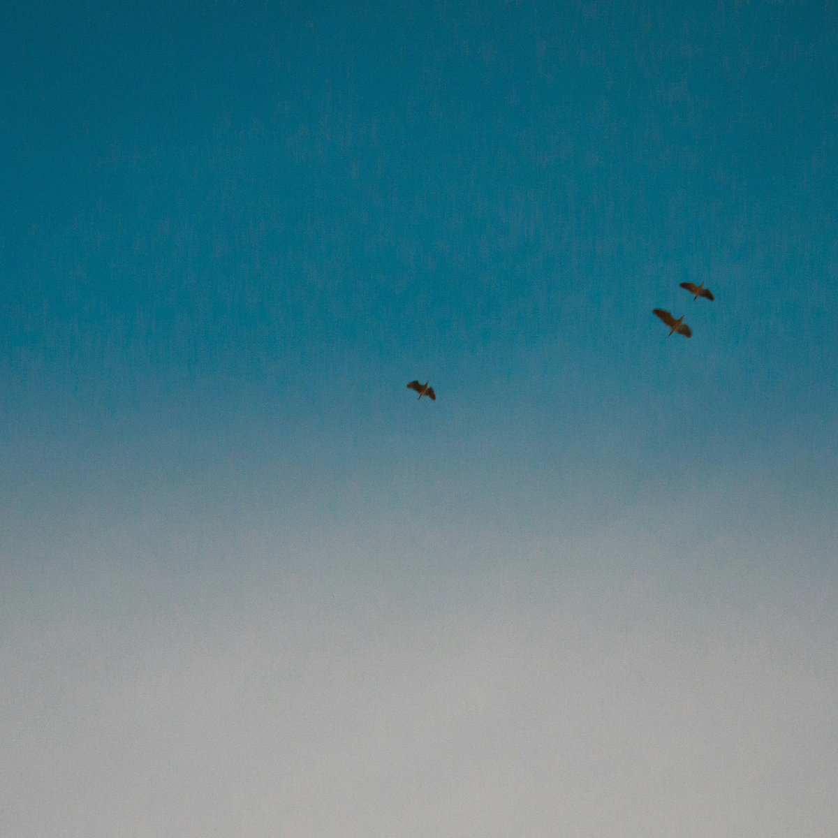 Aperture