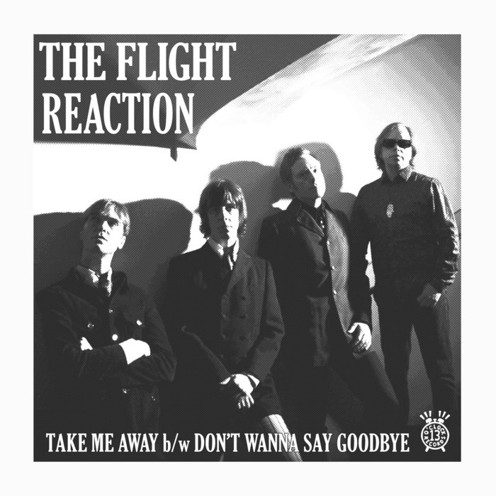 Take Me Away b/w Don't Wanna Say Goodbye single | 13 O ...