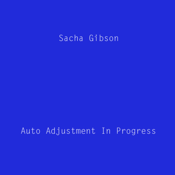 Auto Adjustment In Progress Sacha Gibson Sacha Gibson/Klangzeit