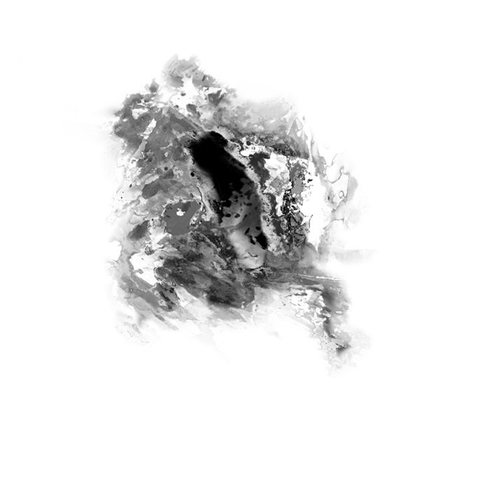 LMN autopsia funzionale Autopsia Funzionale