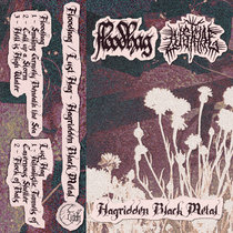 Hagridden Black Metal cover art