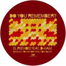 Do You Remember? (Incl. Kink, Tom Taylor + Tony Blunt Rmxs) cover art