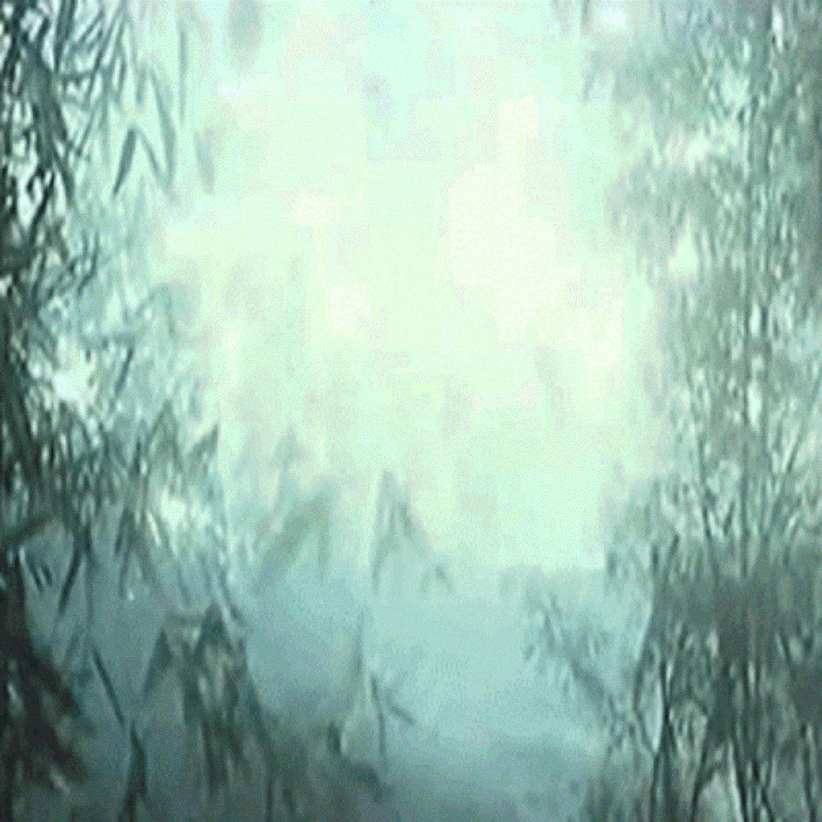 NewFreshAir – 森の世界 NewFreshAir – 森の世界