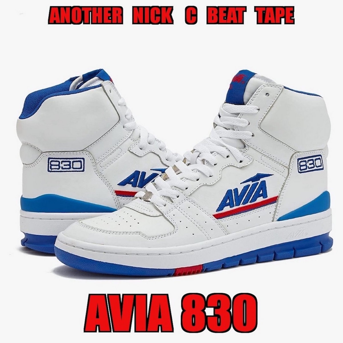 チアスコート AVIA 830 | NICK C